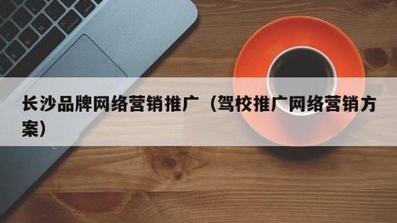 新站SEO优化，新手必看步骤全解析